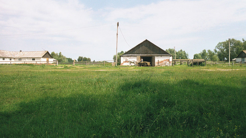 farm-1st-1.jpg