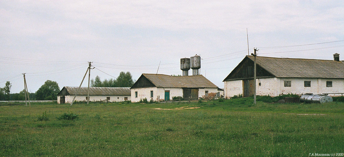farm-1st-2.jpg