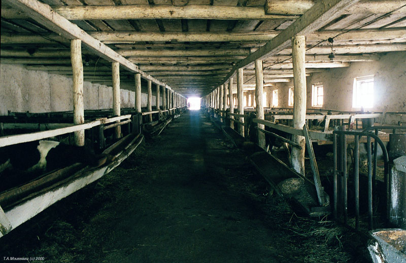 farm-1st-barn.jpg