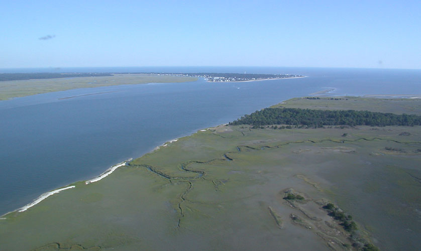 dana-edisto1.jpg