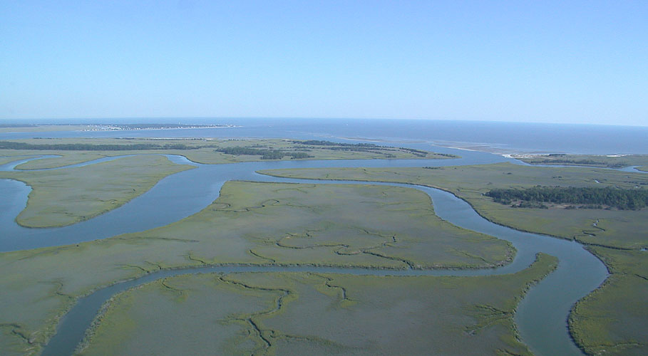 dana-edisto2.jpg