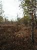 DSCN4307