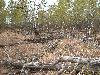 DSCN4310