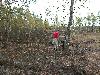 DSCN4316