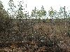 DSCN4320