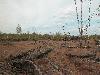 DSCN4339