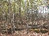 DSCN4355