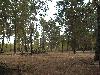 DSCN4365