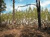 DSCN4373