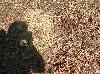 DSCN4402_edited